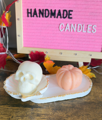 Coastal Seashell Concrete Tray